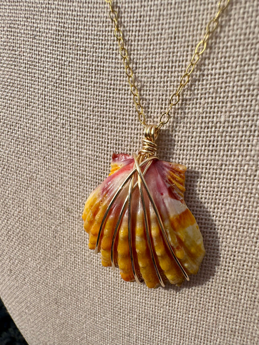 Sunrise Shell Necklace