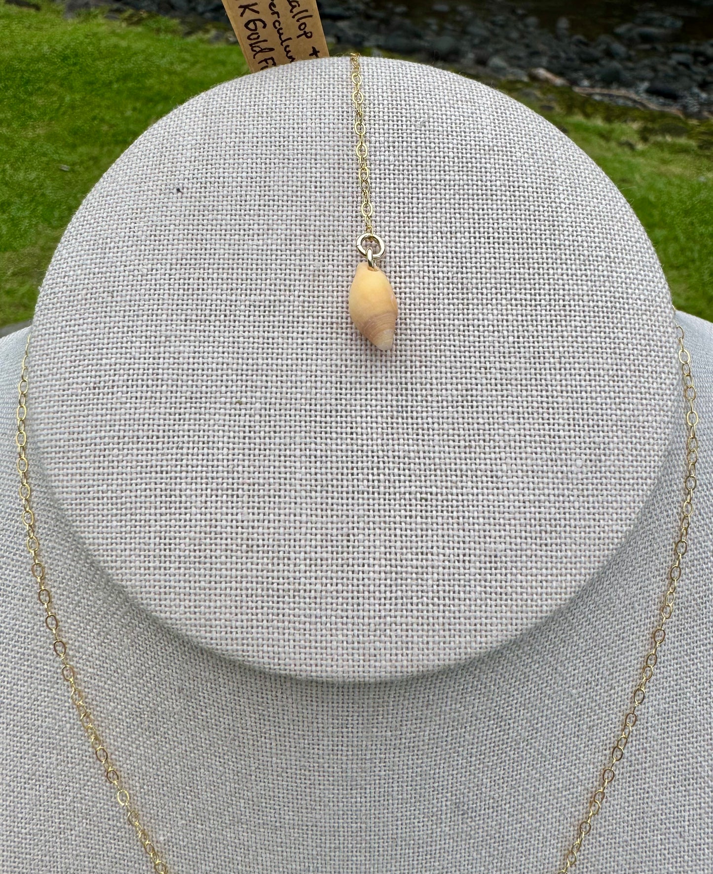 Scallop Drop Necklace