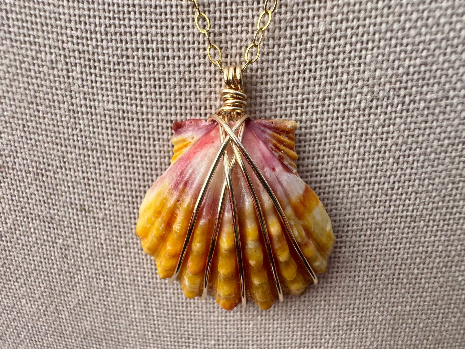 Sunrise Shells