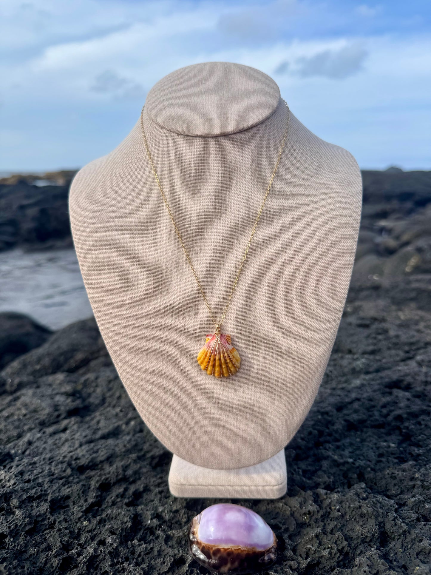 Sunrise Shell Necklace