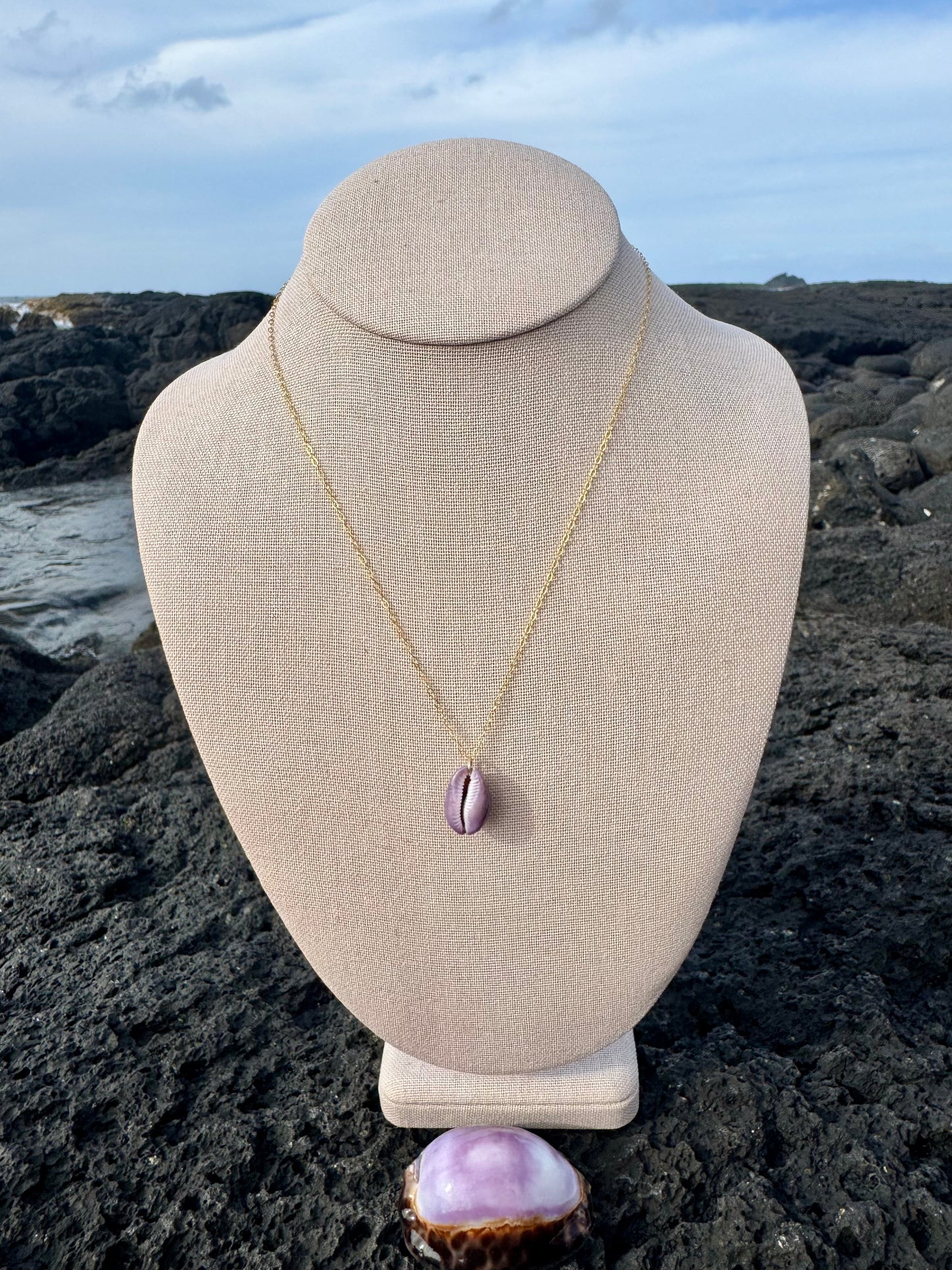 Purple Porous Cowrie Necklace
