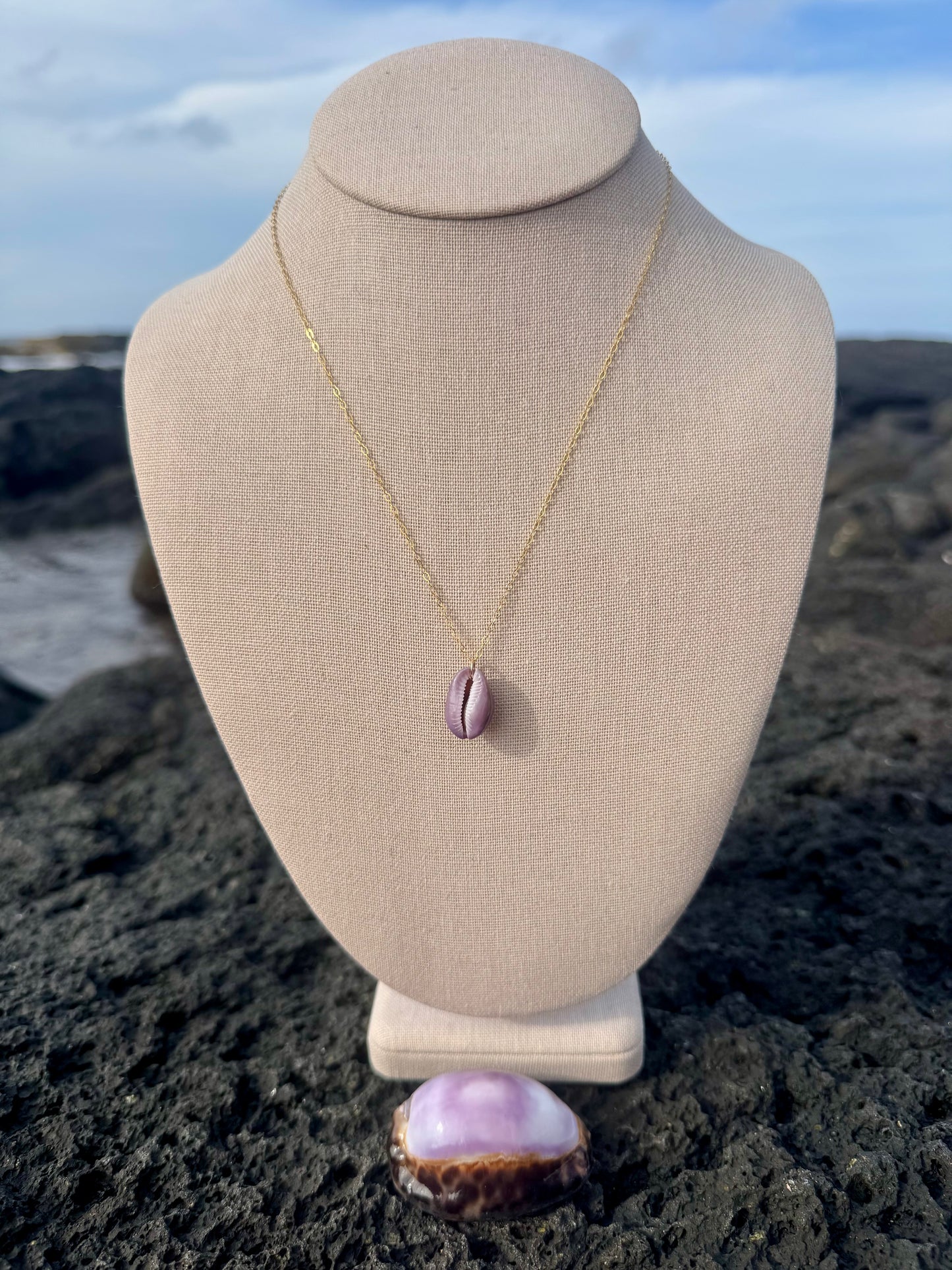 Purple Porous Cowrie Necklace