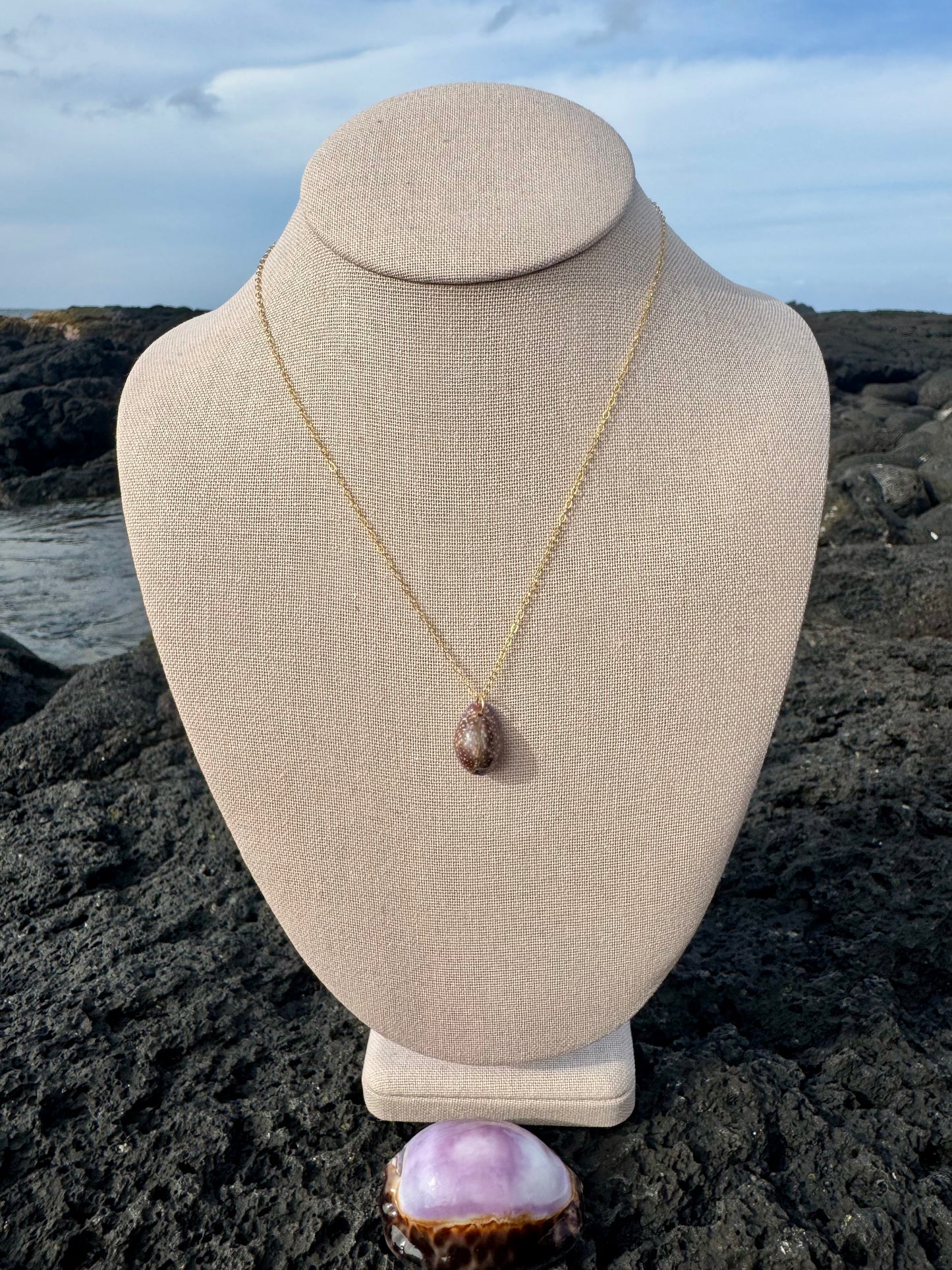 Purple Porous Cowrie Necklace