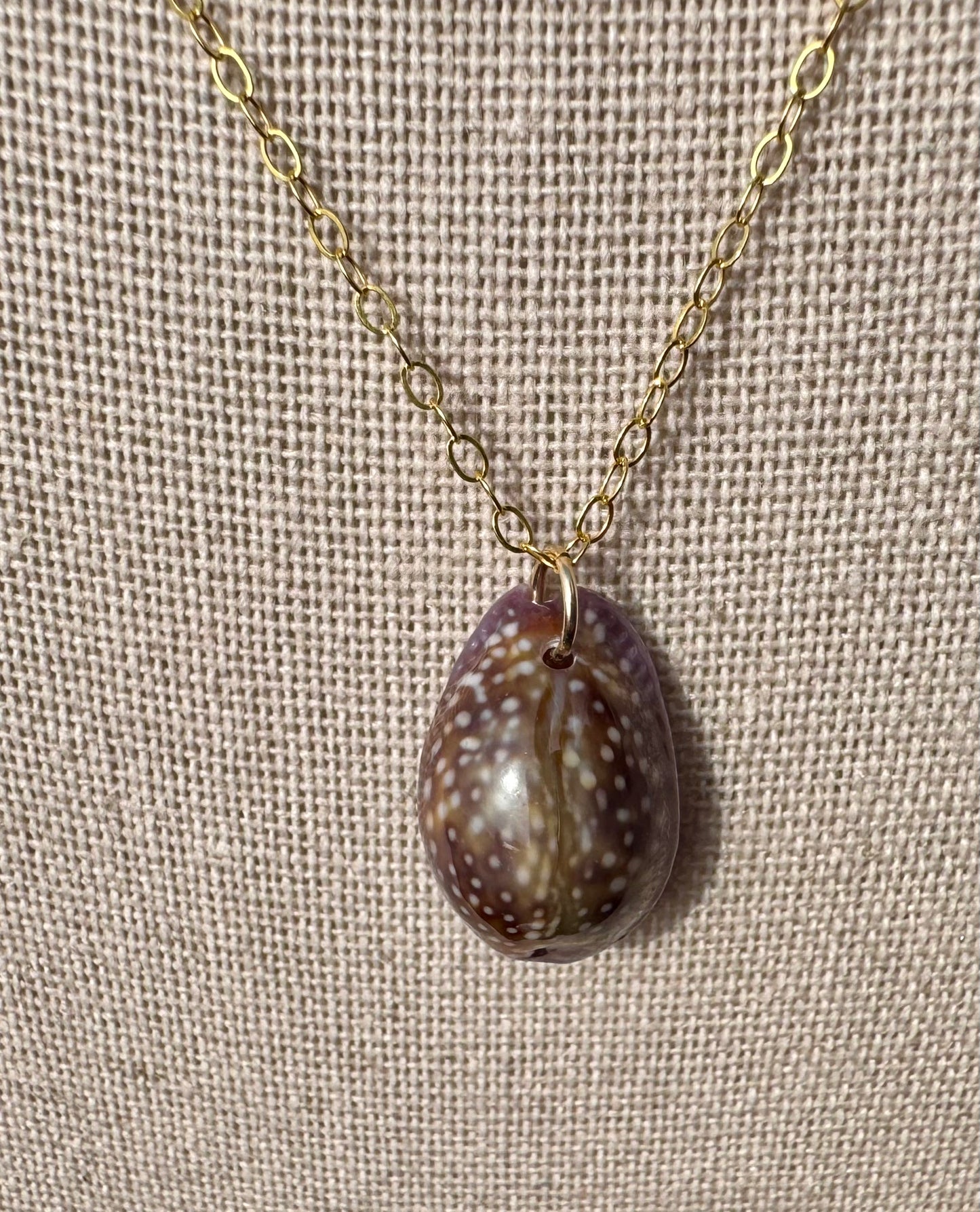 Purple Porous Cowrie Necklace