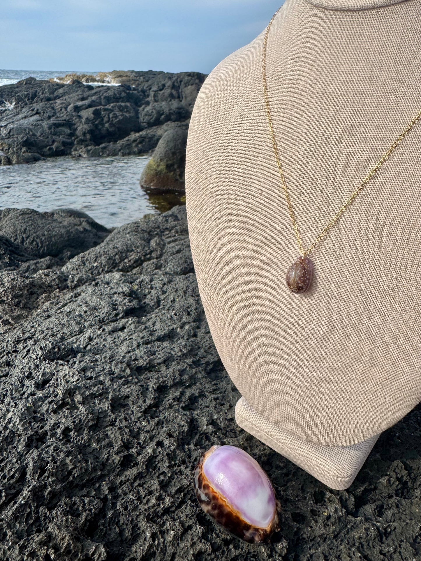 Purple Porous Cowrie Necklace