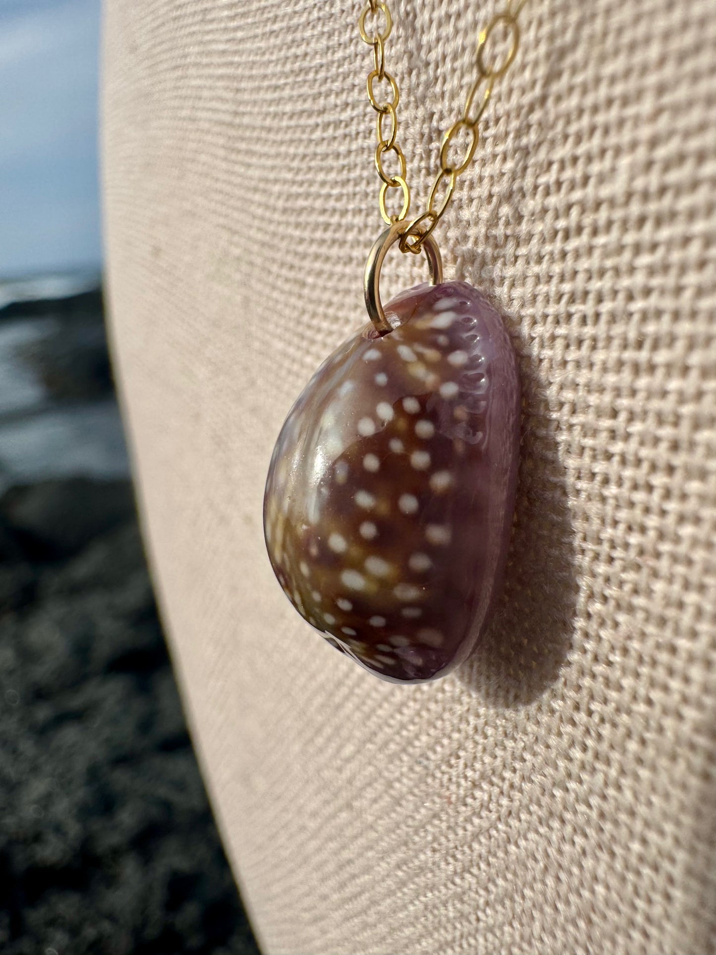 Purple Porous Cowrie Necklace