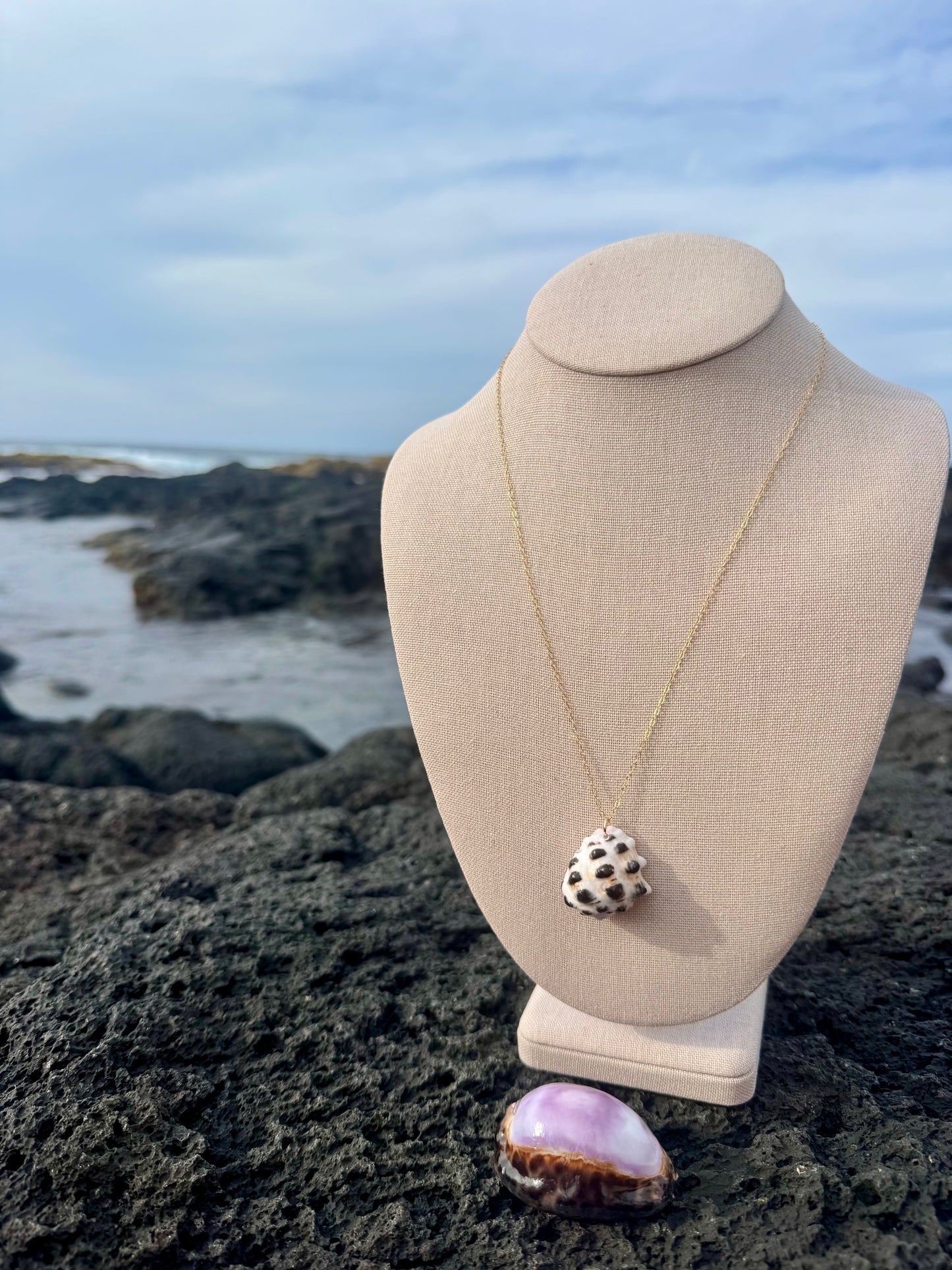 Perfect Mulberry Drupe Shell Necklace