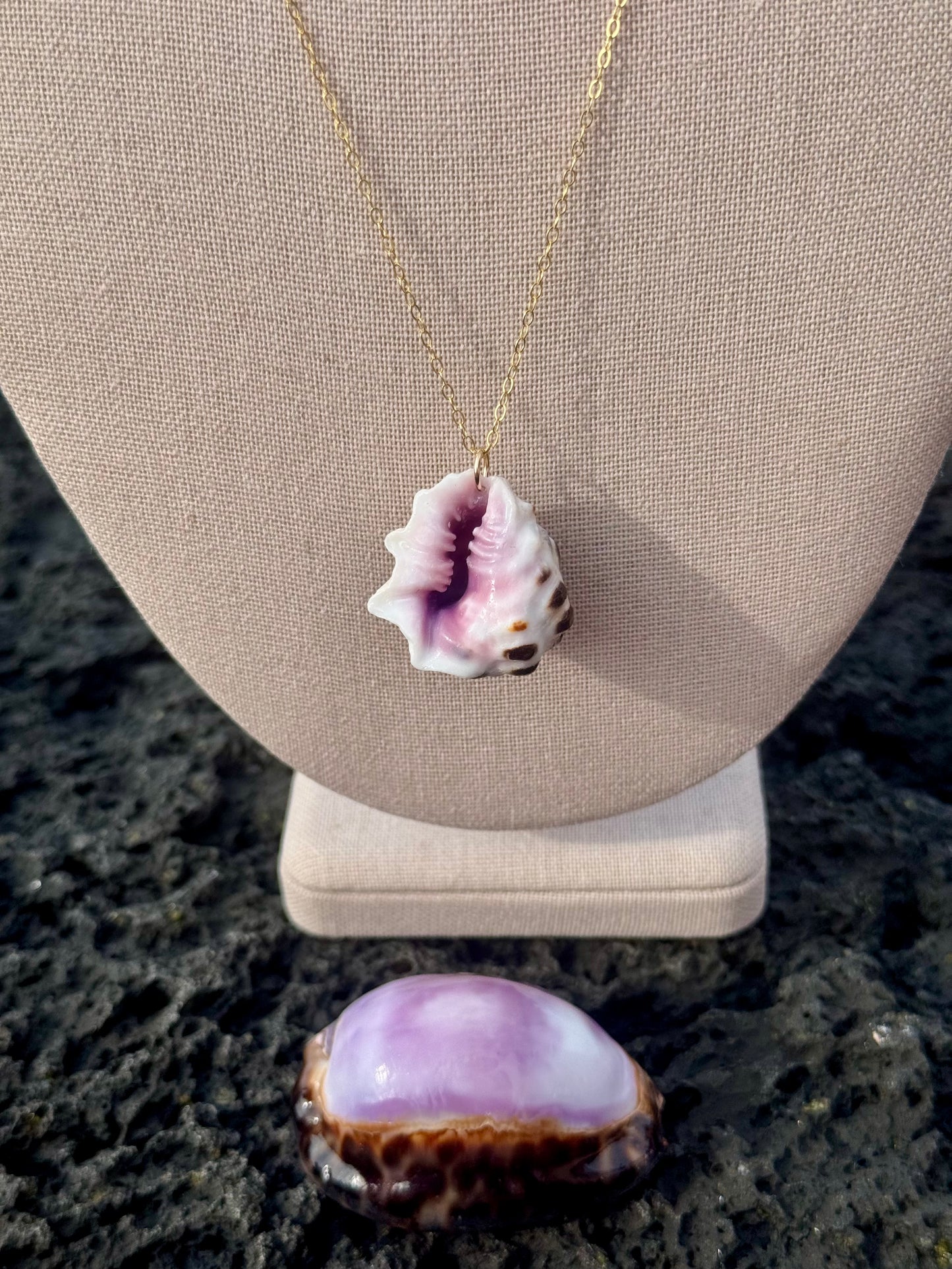 Perfect Mulberry Drupe Shell Necklace