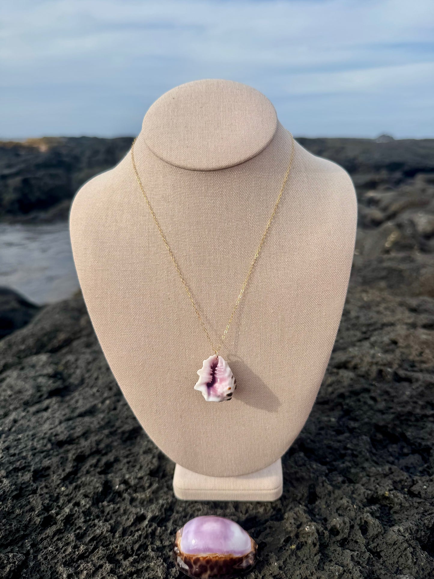 Perfect Mulberry Drupe Shell Necklace
