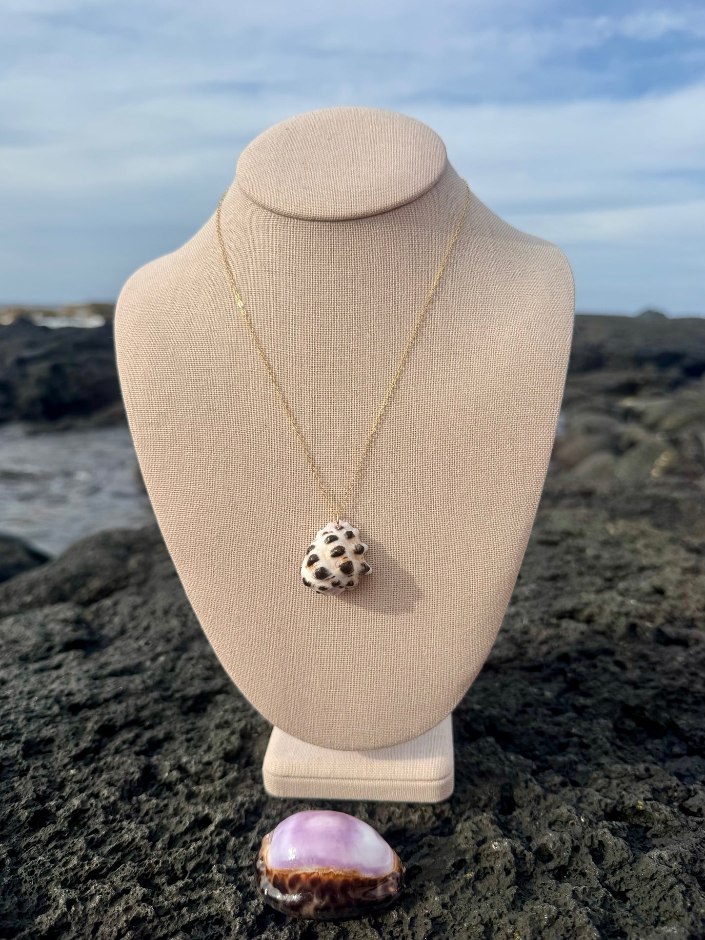 Perfect Mulberry Drupe Shell Necklace