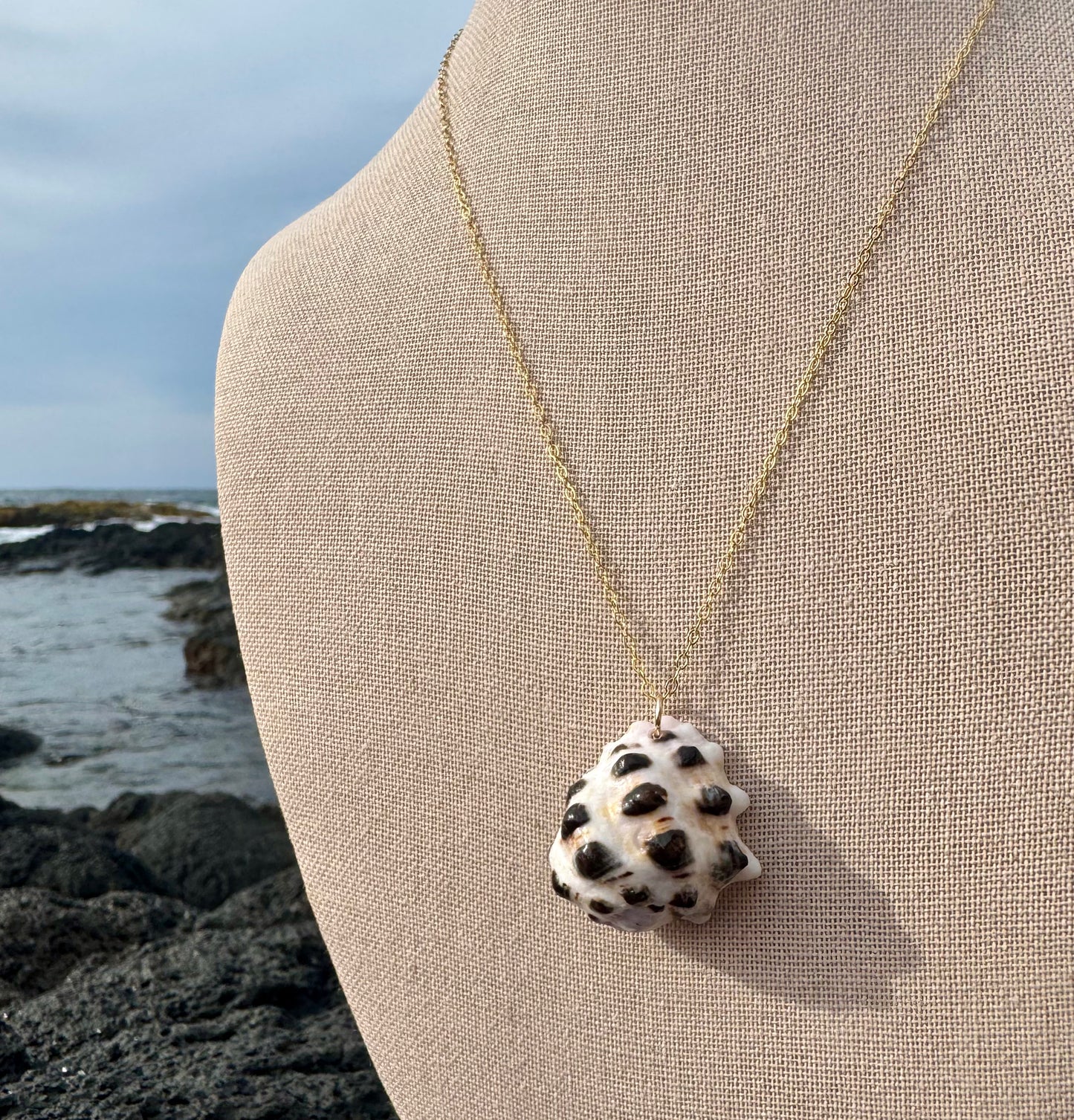 Perfect Mulberry Drupe Shell Necklace