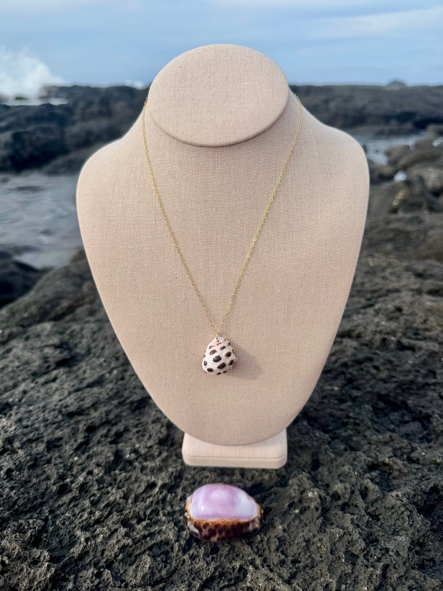 Mulberry Drupe Shell Necklace