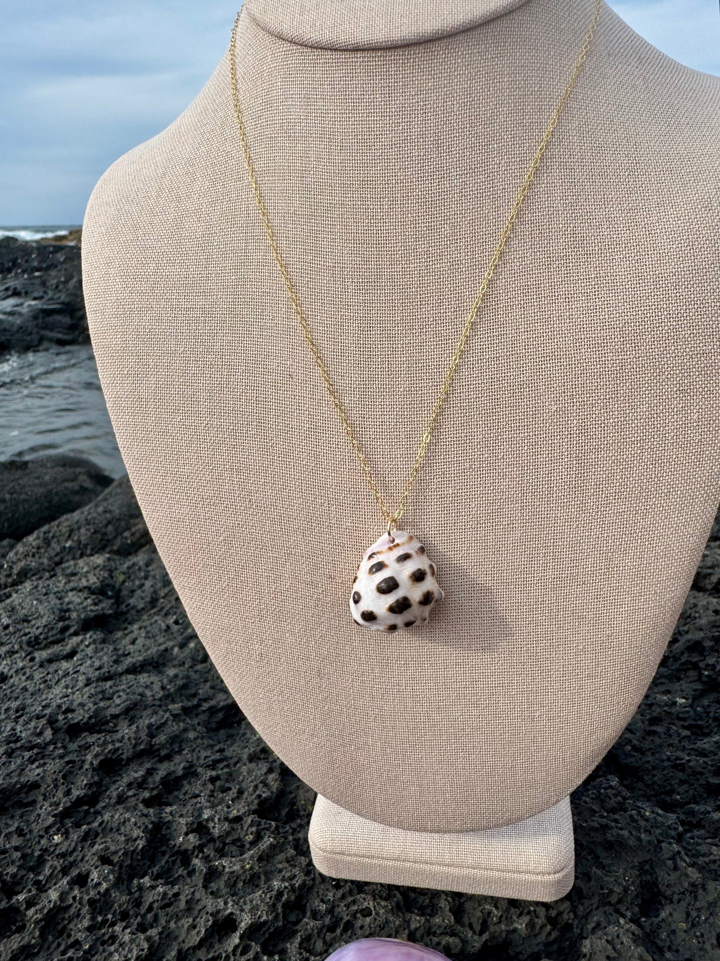 Mulberry Drupe Shell Necklace