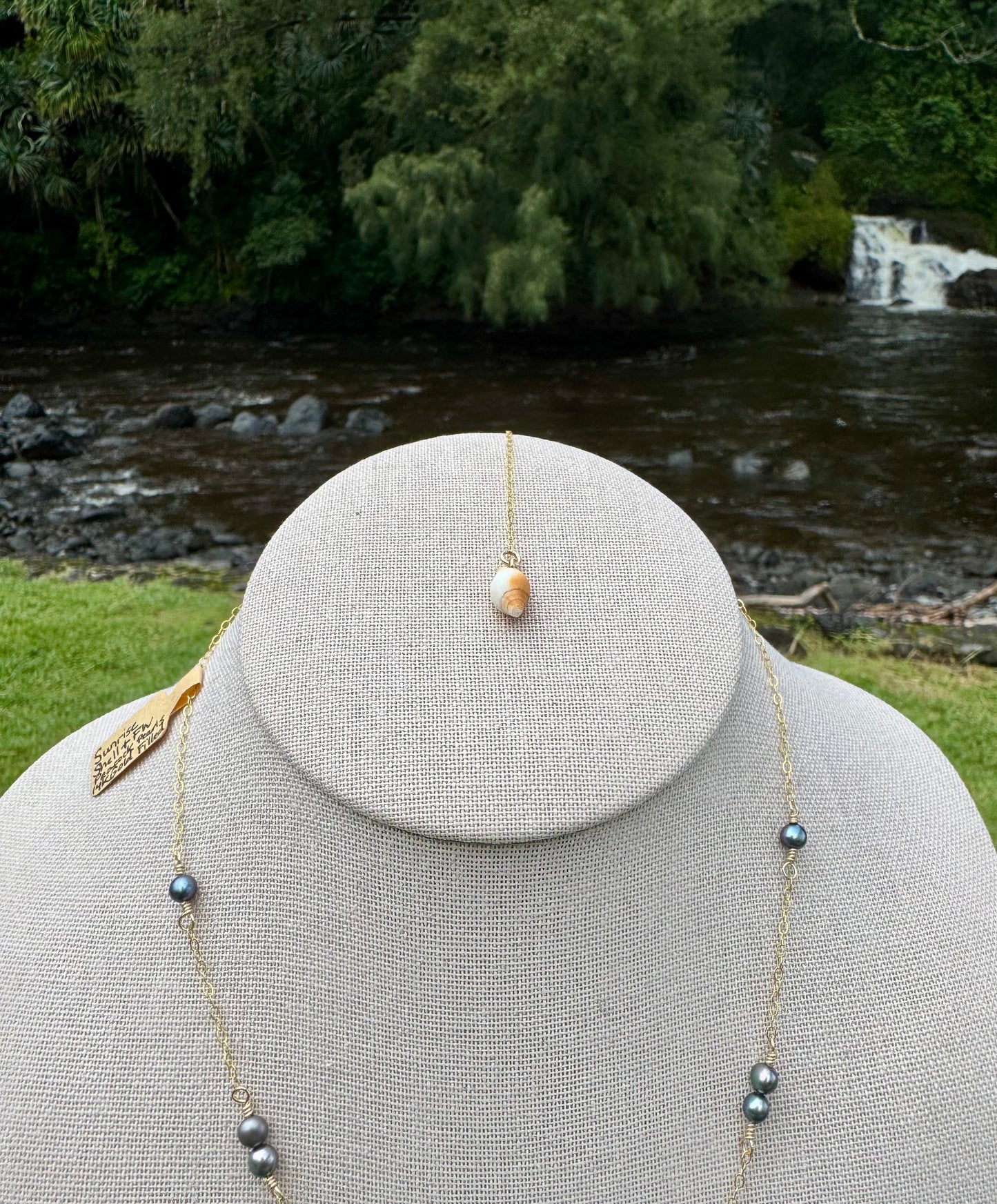 Sunrise Shell Necklace | Freshwater Peacock Pearl Chain