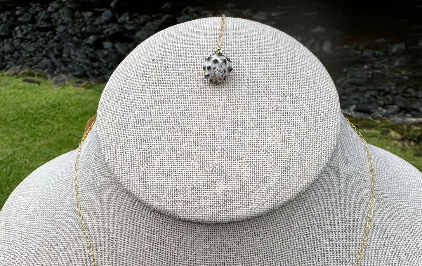 Mulberry Drupe, Cowries, & Cones Necklace