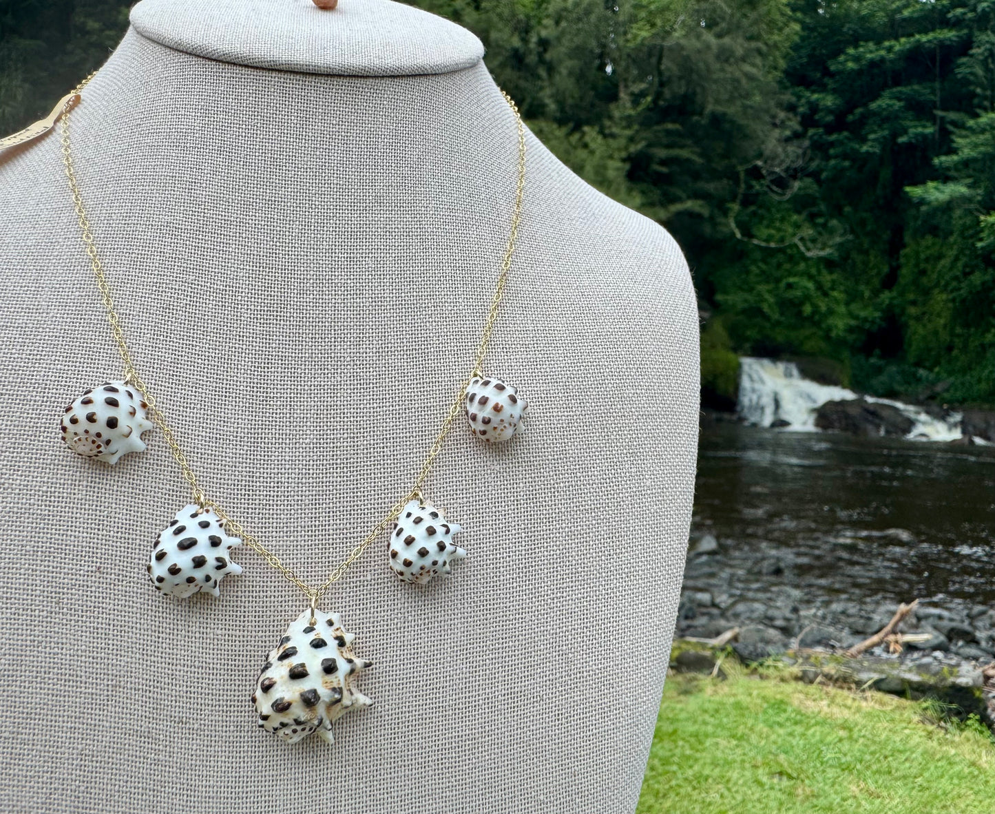White-Lipped Drupe Shell Necklace