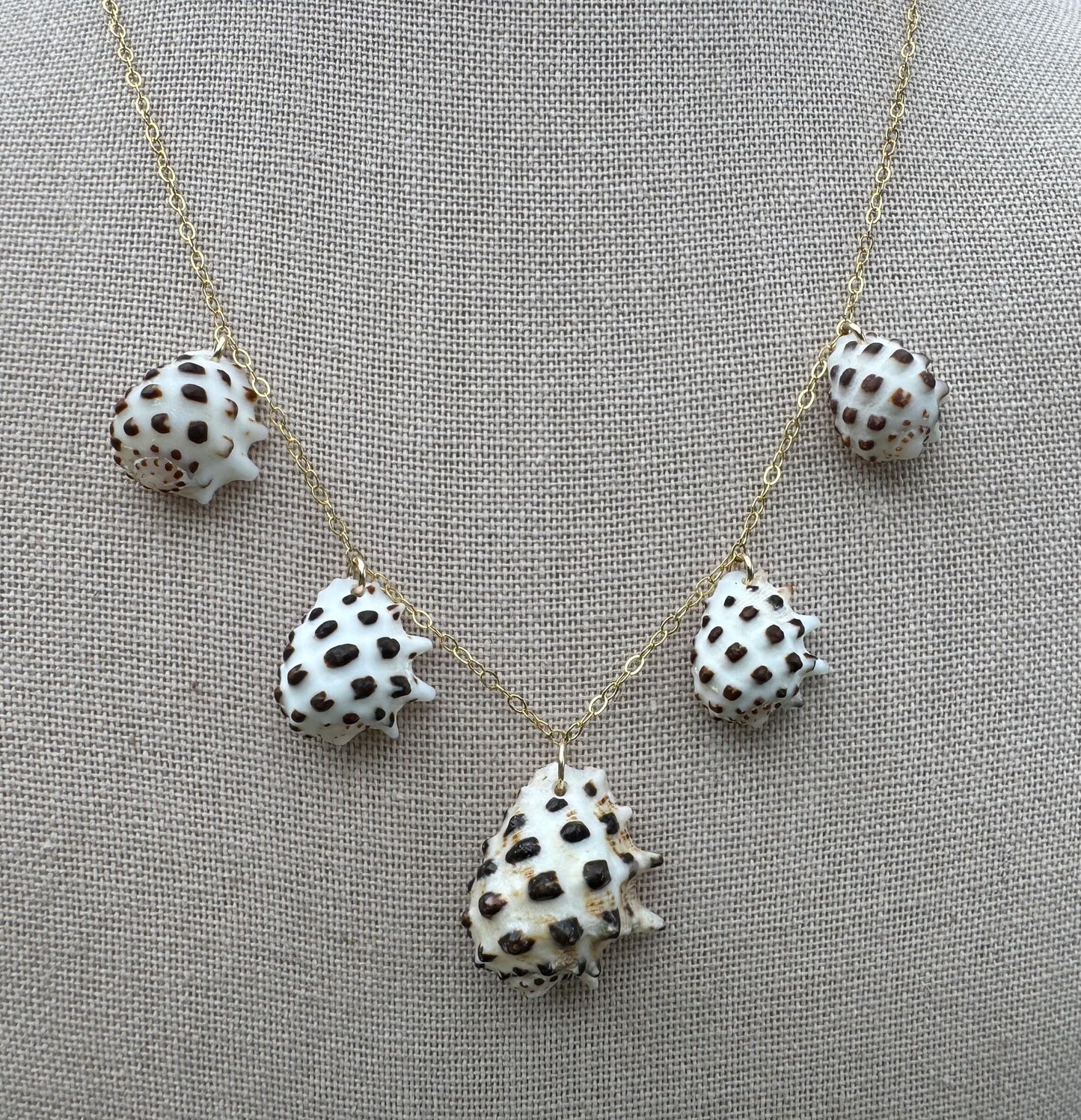 White-Lipped Drupe Shell Necklace