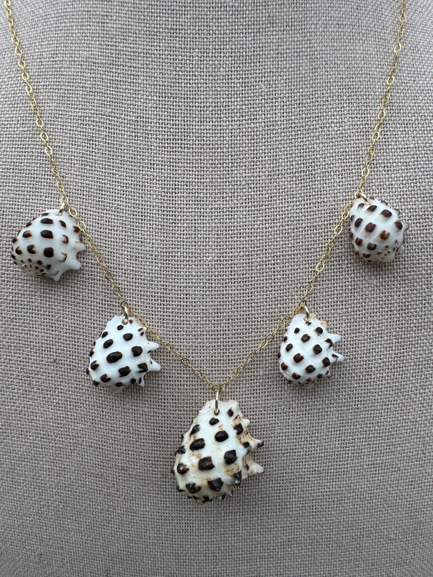 White-Lipped Drupe Shell Necklace