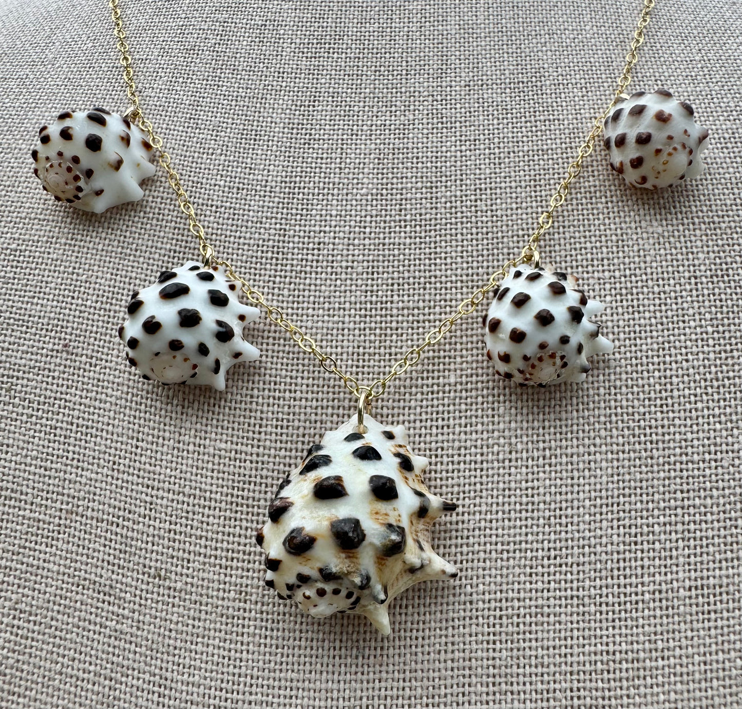 White-Lipped Drupe Shell Necklace
