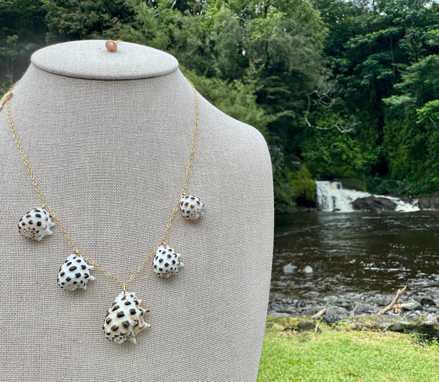White-Lipped Drupe Shell Necklace