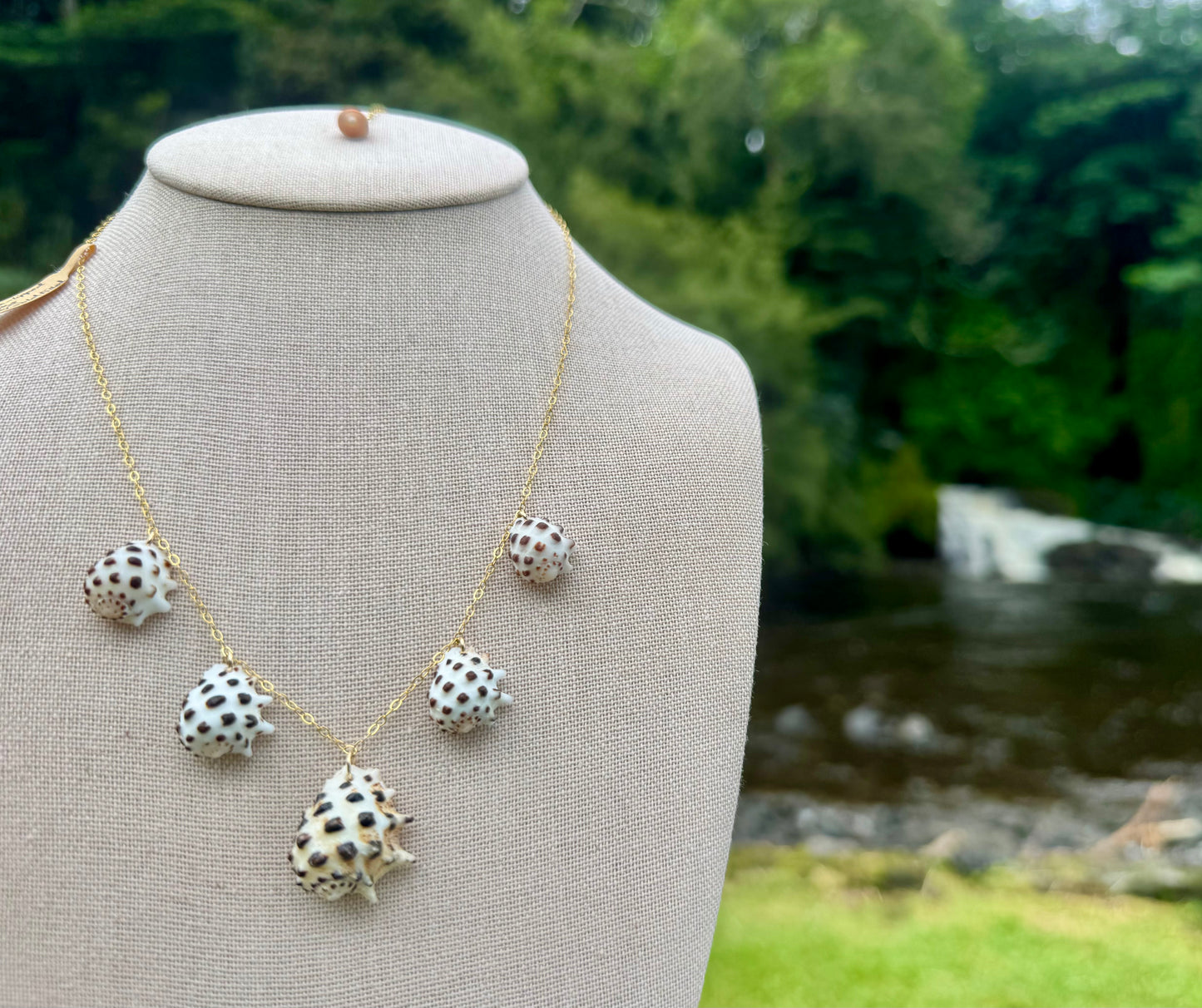 White-Lipped Drupe Shell Necklace