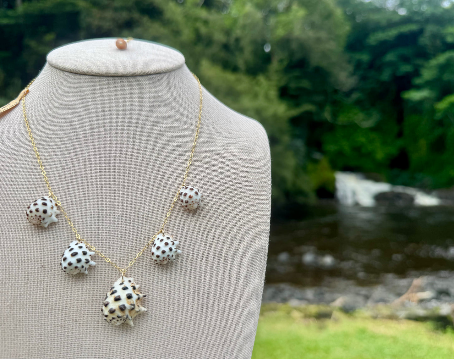 White-Lipped Drupe Shell Necklace