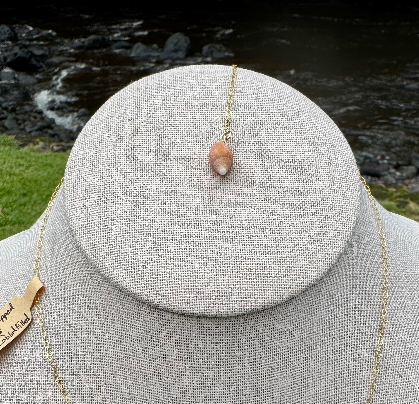 White-Lipped Drupe Shell Necklace