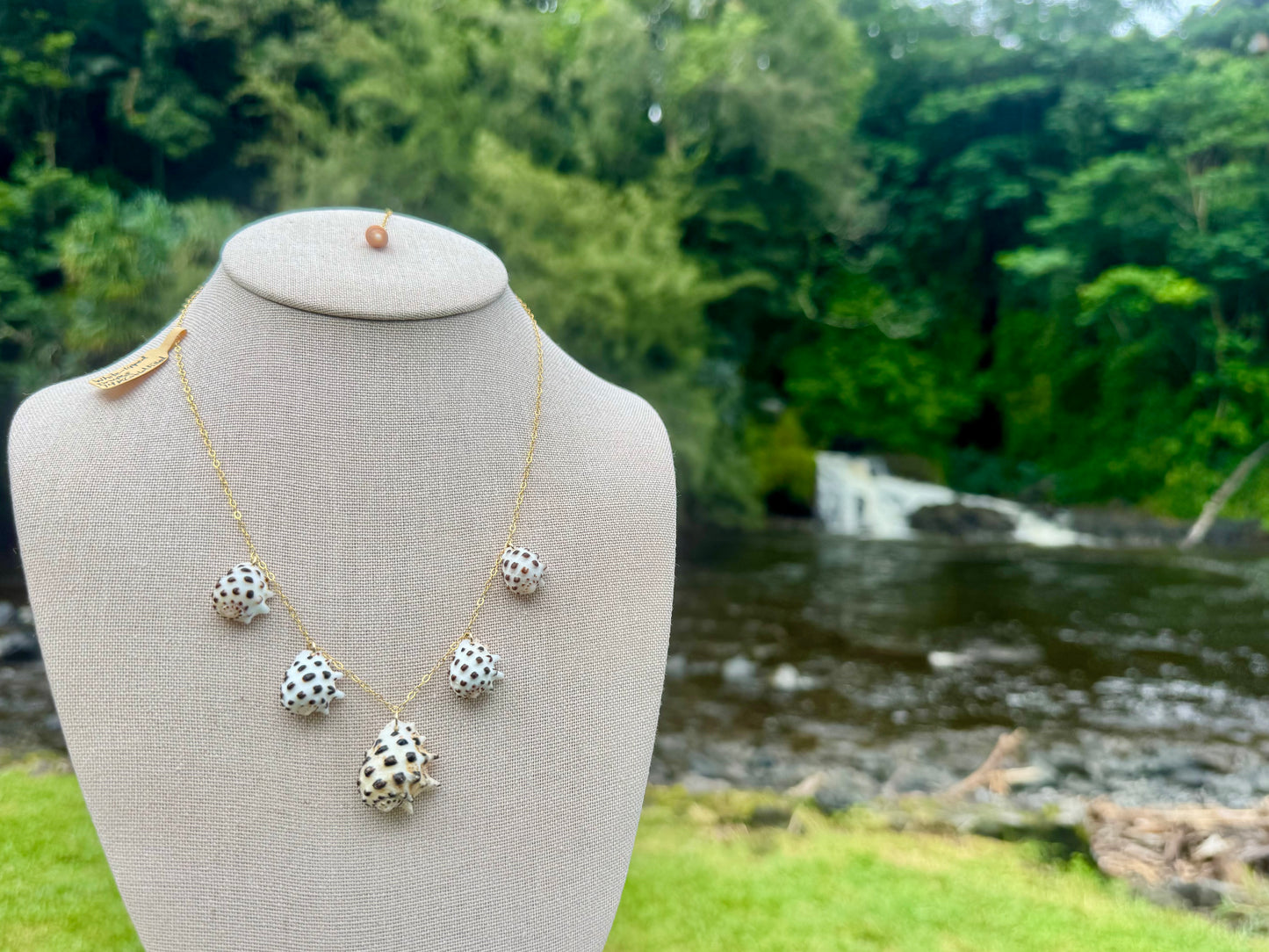 White-Lipped Drupe Shell Necklace