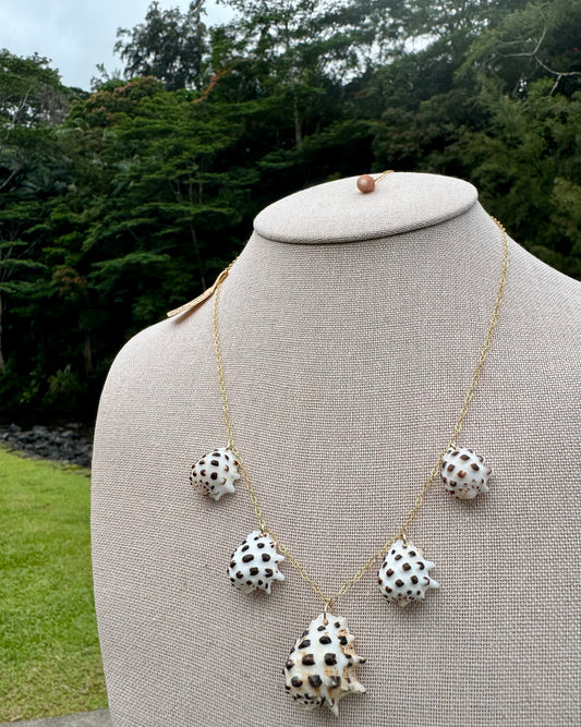 White-Lipped Drupe Shell Necklace