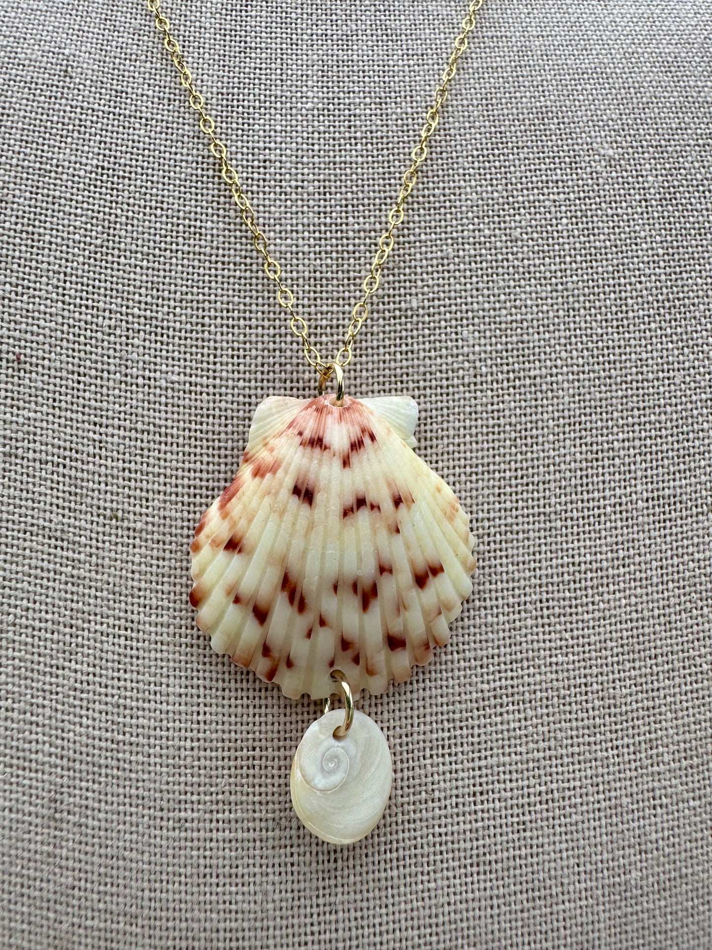 Scallop Drop Necklace