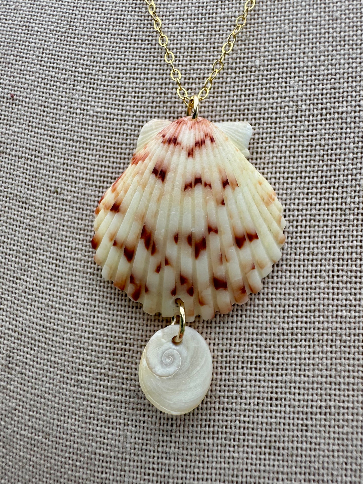 Scallop Drop Necklace