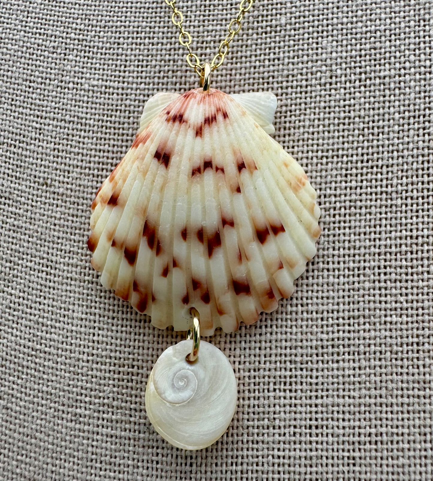 Scallop Drop Necklace
