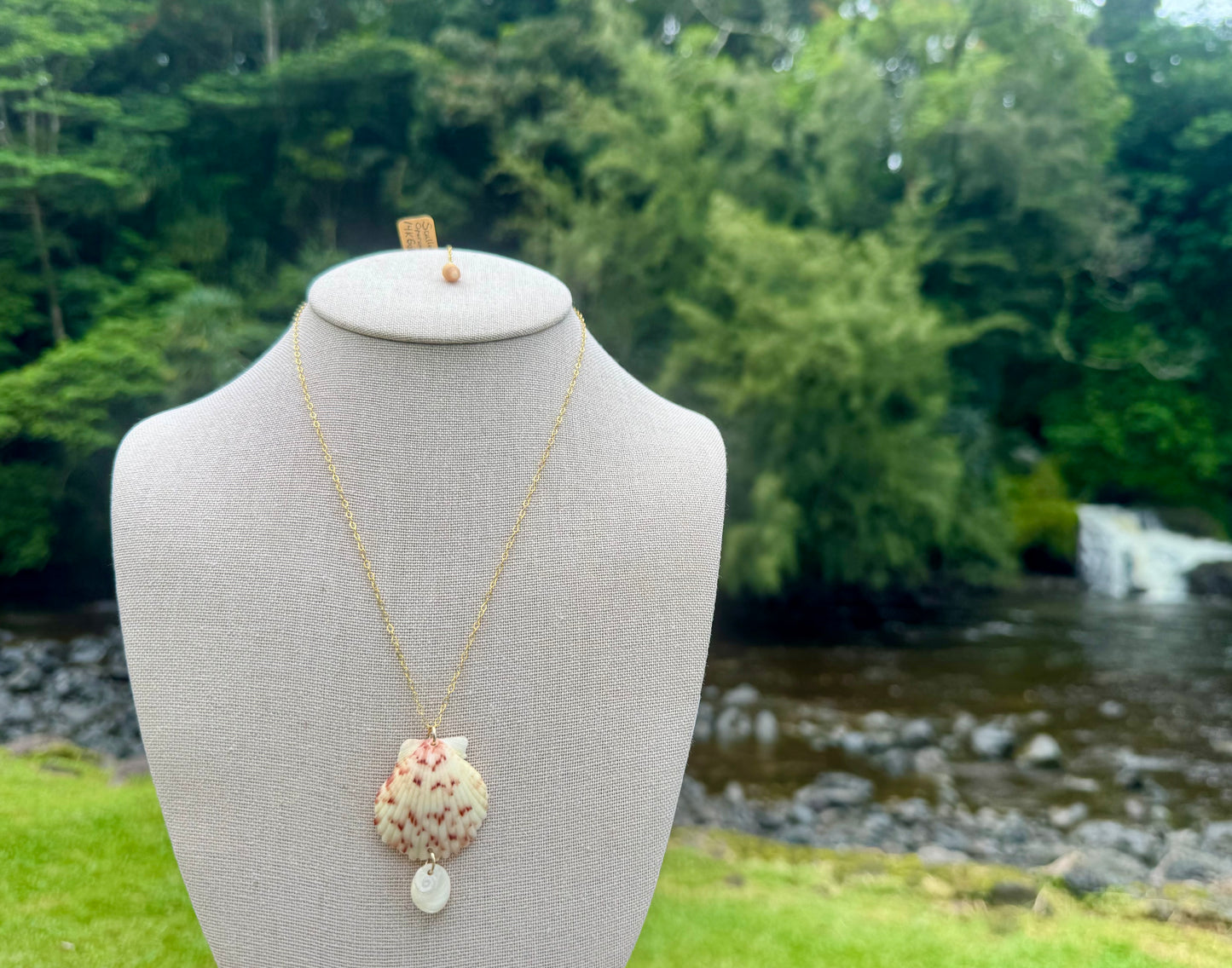 Scallop Drop Necklace