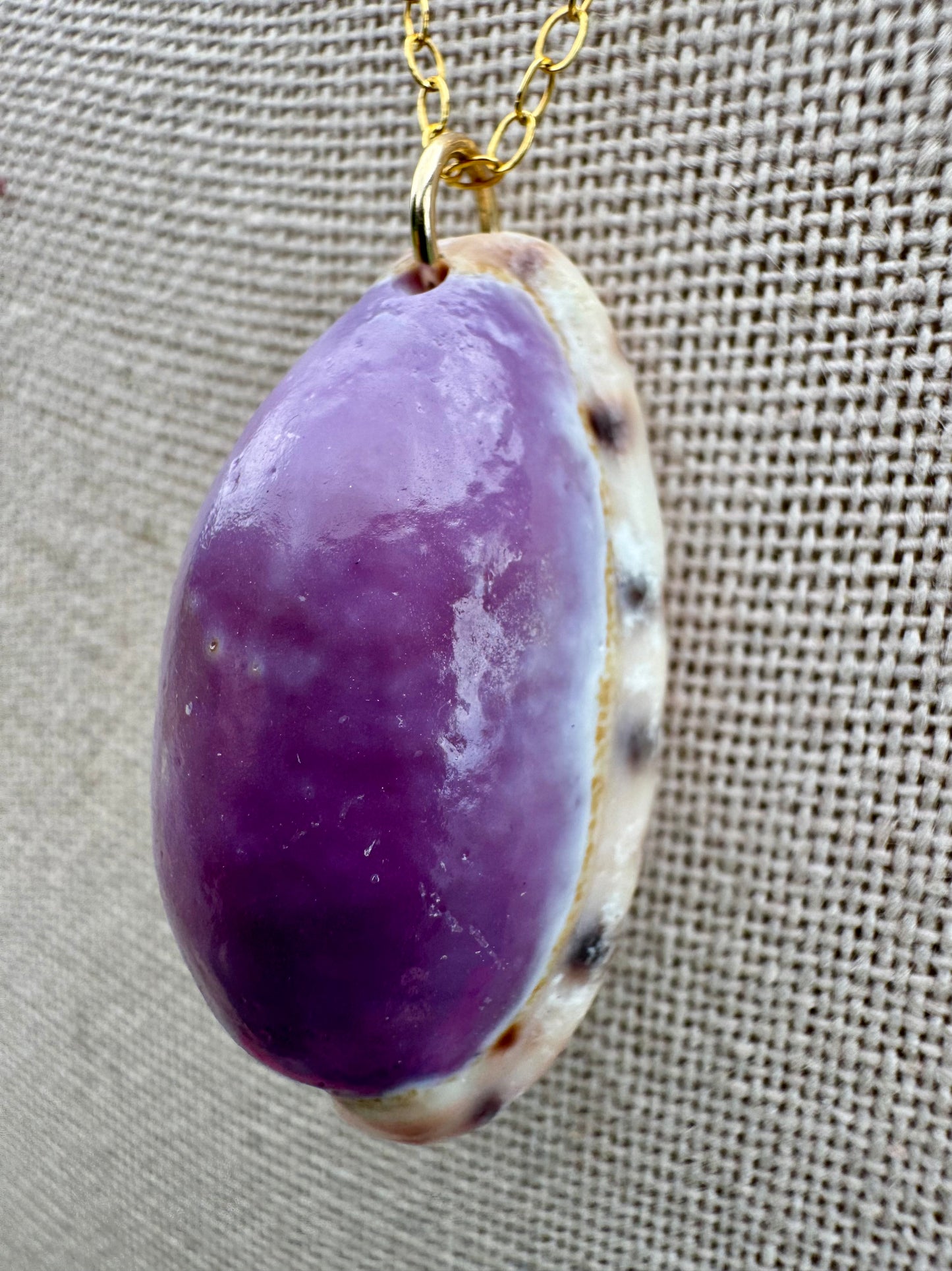 Alison's Purple Cowrie Necklace