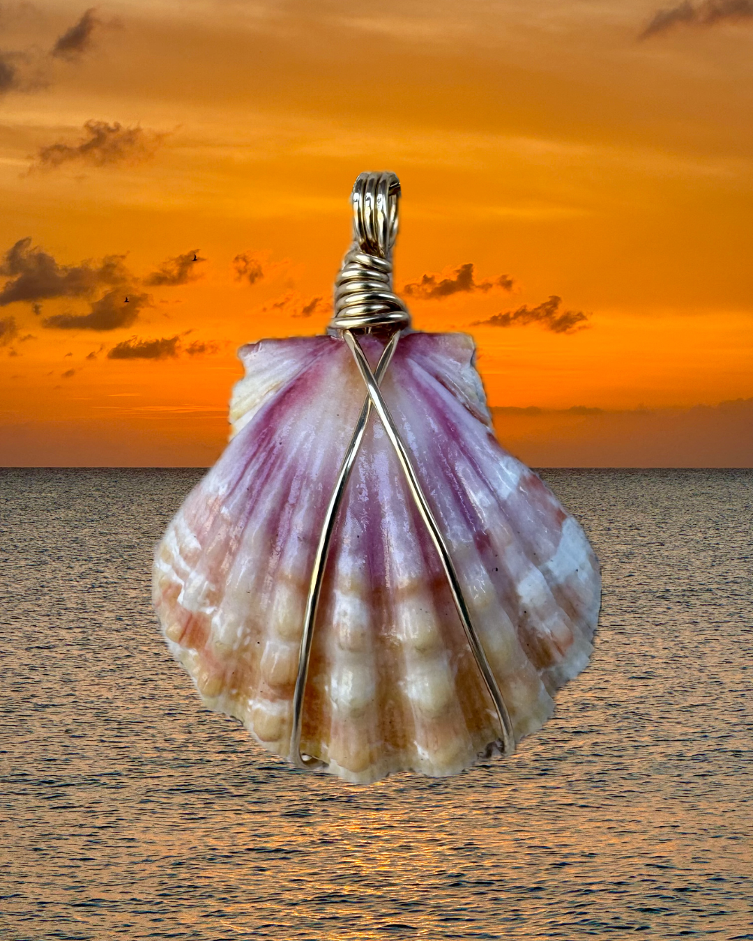 Sunrise Shell Necklace | Freshwater Peacock Pearl Chain
